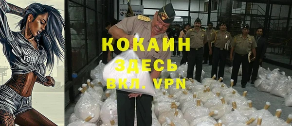 твердый Абаза