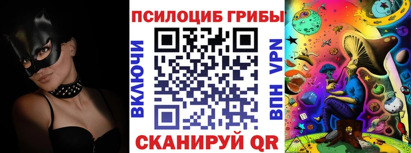 наркотики Красноуфимск Псилоцибиновые грибы мицелий